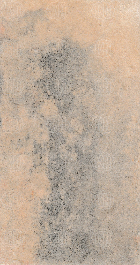 Aero Cream Polished 11