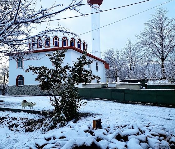 Darboğaz Merkez Camii