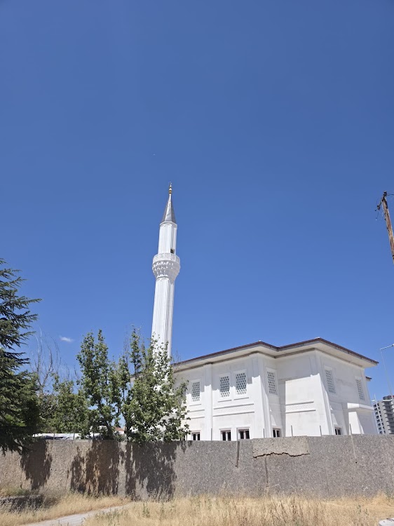 Elif Camii