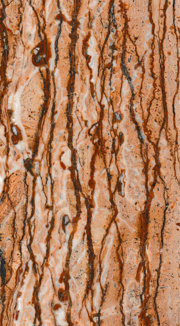 Ivy Brown VCPF