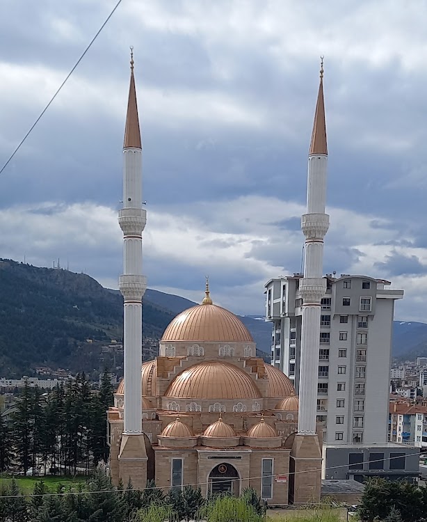 Mehmet Emin Tokadi Camii