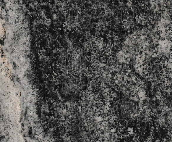 Silver Brown VCPF